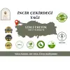 İncir Çekirdeği Yağı 10 ml. %100 Saf