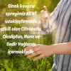 Sinek ve Kene Kovucu Sprey