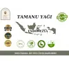 Tamanu Yağı 10 ml. %100 Saf