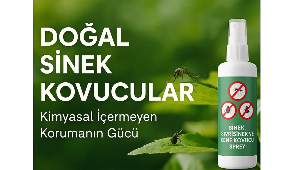 Doğal Sinek Kovucular: Kimyasal İçermeyen Korumanın Gücü