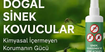 Doğal Sinek Kovucular: Kimyasal İçermeyen Korumanın Gücü