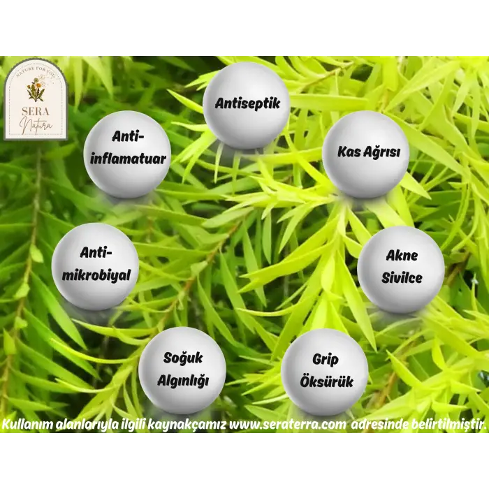 Çay Ağacı Uçucu Yağı 10 ml. %100 Saf