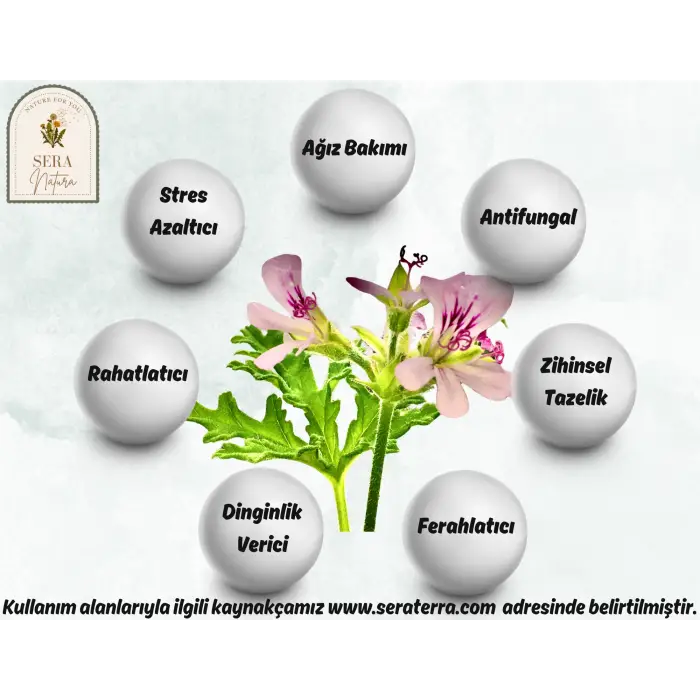 Citronella Uçucu Yağı 10 ml. %100 Saf