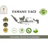 Tamanu Yağı 10 ml. %100 Saf