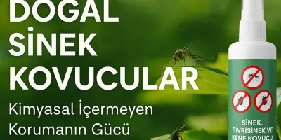 Doğal Sinek Kovucular: Kimyasal İçermeyen Korumanın Gücü