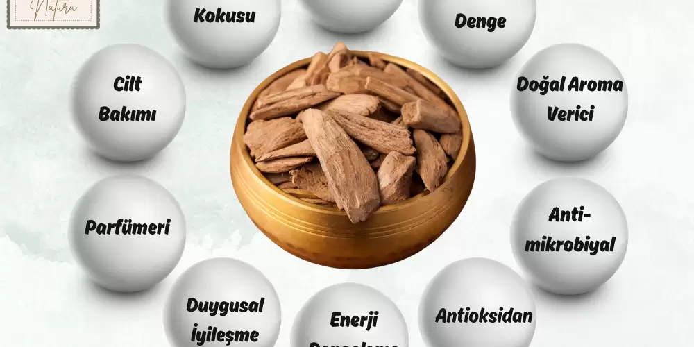 Udi Hindi Yağı: Doğanın Şifa Dolu Hediyesi