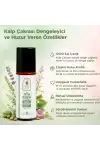 Aromaterapi 7 Çakra Yağ Seti 7 x 10 ml Ritüel Seti