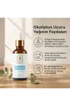 Okaliptus Uçucu Yağı 10 ml. %100 Saf