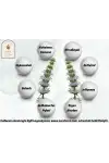 Paçuli Uçucu Yağı 5 ml. %100 Saf