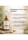 Makedemya Cevizi Yağı 30 ml – Besleyici ve Hücre Yenileyici