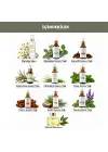 Anti-Lice Papatya Özlü Bit Kovucu Saç Spreyi 100 ml. – %100 Doğal, Durulama Gerektirmez, Tüm Yaşlar İçin