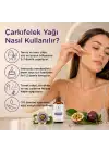 Çarkıfelek Yağı 10 ml %100 Saf ve Doğal