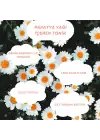 Mup Remover Makyaj Temizleyici Tonik