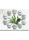 Adaçayı Uçucu Yağı 10 ml. %100 Saf