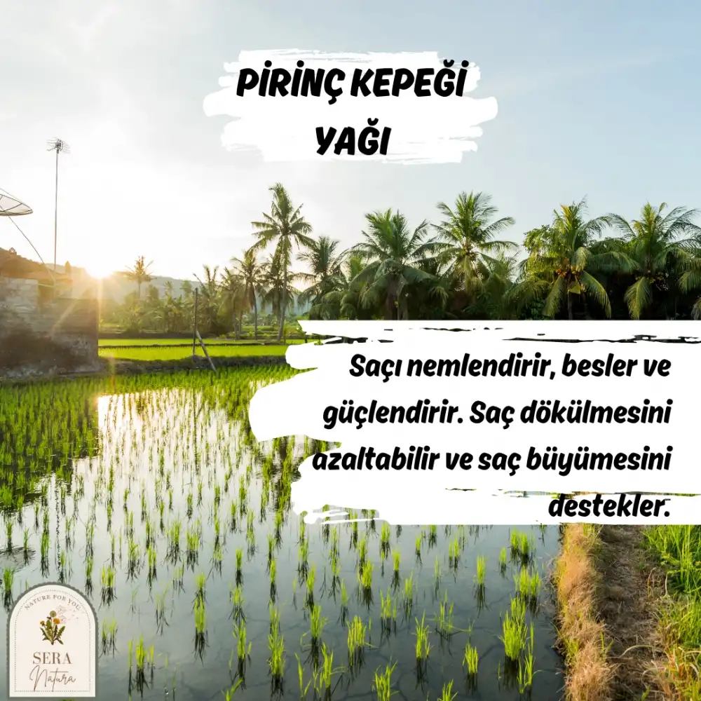 Pirinç Kepeği Yağı 30 ml. %100 Saf
