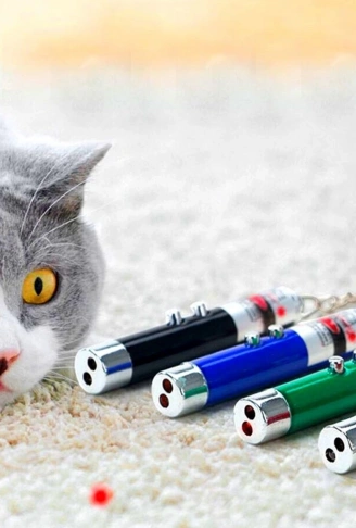 3 Fonksiyonlu Kırmızı Beyaz Işıklı Led Lazer Kedi Köpek Oyuncak Anahtarlık (4940)