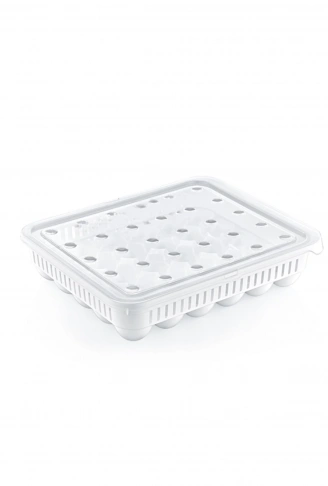 30&apos;lu Yumurta Saklama Kabı (4940)