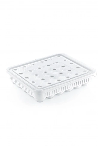 30'lu Yumurta Saklama Kabı (4940)