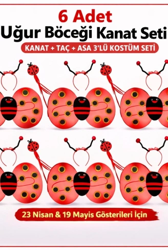 6'lı Uğur Böceği Ateş Böceği Kostüm Seti – Kanat Taç Asa (4940)