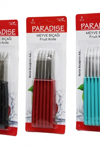 6 PARÇA  MEYVE BIÇAK RENKLİ PLASTİK SAPLI (4940)