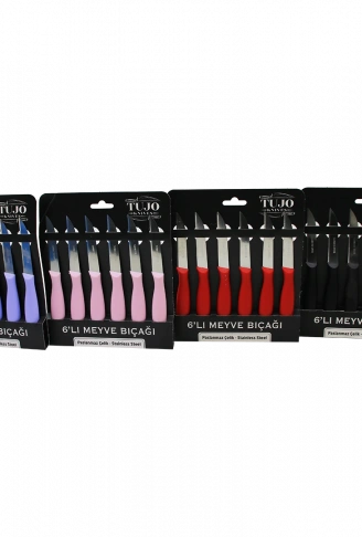 6 PARÇA  MEYVE BIÇAK RENKLİ PLASTİK SAPLI (4940)