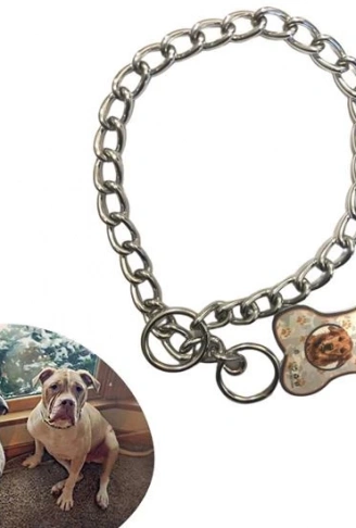 65 cm Uzunlukta Zincir Model Köpek İçin Boyun Tasması (4940)