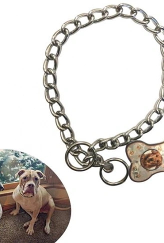 65 cm Uzunlukta Zincir Model Köpek İçin Boyun Tasması (4940)