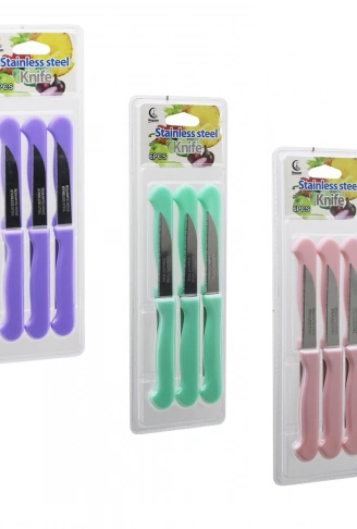 6PCS MEYVE BIÇAK  RENKLİ PLASTİK SAPLI   VAKUMLU AMBALAJ   BRKT-806155 (4940)