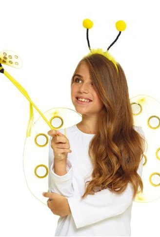 Arı Kanat Seti Kanadı Tacı ve Asası (4940)