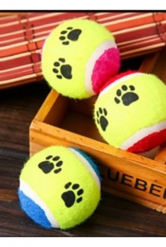 At Getir Köpek Eğitim Topu (4940)