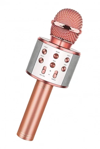 Bluetooth Karaoke Mikrofon (4940)