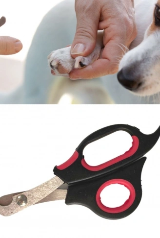Büyük Irk Köpek Kedi Çelik Uçlu Evcil Hayvan Tırnak Makası Pati Bakım Aleti Ergonomik Kaymaz (4940)