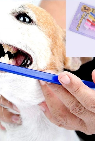 Çift Taraflı Hayvan Diş Fırçası 4 lü set (4940)