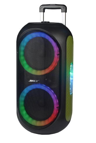 EL MİKROFONLU KUMANDALI USB+SD+BT TAŞINABİLİR HOPARLÖR SL-2012 (4940)