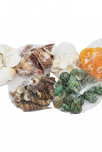 FİLELİ MİDYE DENİZ KABUK VAZO TAŞI RENKLİ MİX (4940)