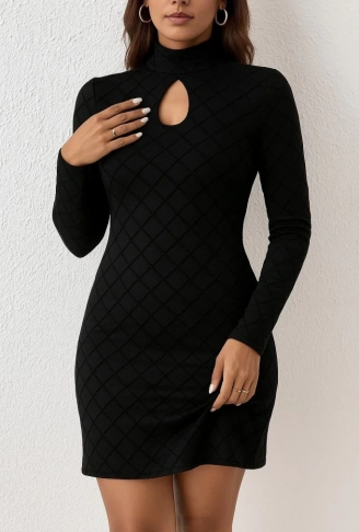 Kadın Uzun Kollu Damla Detay Flok Baskı Dalgıç Mini Elbise