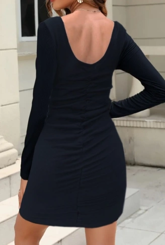 Kadın Uzun Kollu Sırt Büzgü Detay Kaşkorse Elbise