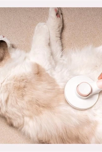 Kavis Uçlu Kedi Köpek Banyo Ve Tarama Tarağı Kendini Temizleyen Tüy Toplama Fırçası (4940)
