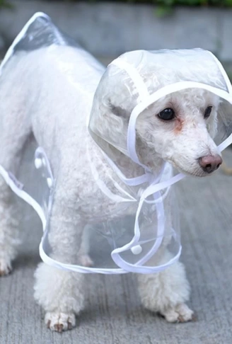 Köpek Yağmurluğu Sarı  (Small)
