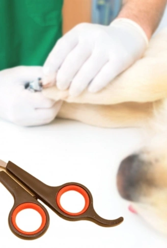 Küçük Çelik Uçlu Kedi Köpek Evcil Hayvan Tırnak Makası Pati Bakım Aleti Ergonomik Kaymaz Sap (4940)