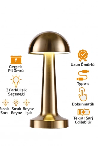 OVAL - METAL MANTAR MASA LAMBASI DOKUNMATİK - RENKLİ TYPE-C ŞARJLI 3 FONKSİYONLU YL86-1231 (4940)
