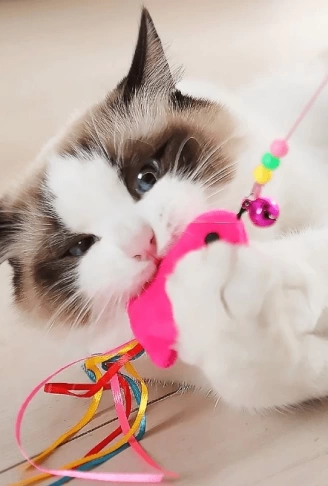 Pratik Balıklı Kedi Oyun Oltası 90 Cm ( Lisinya )
