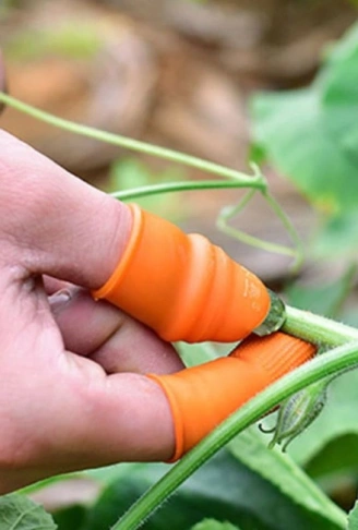 Pratik Baş Parmak Sebze Kesme Ayıklayıcı Erkek L Set (4940)