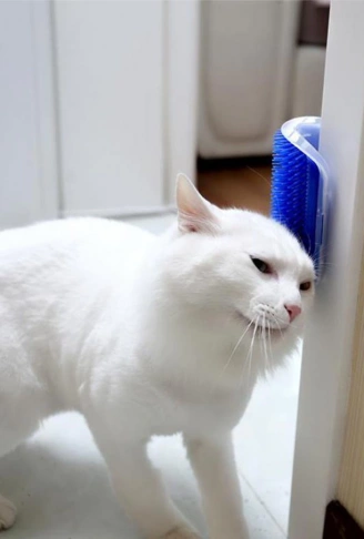 Pratik Kedi Tüyü Kaşıma Ve Tarama Aparatı Duvara Monte Kaşıma Aleti (4940)