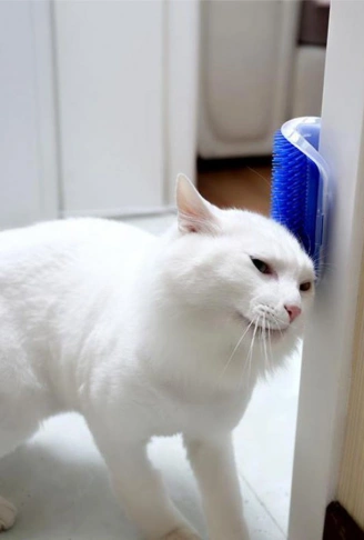 Pratik Kedi Tüyü Kaşıma Ve Tarama Aparatı Duvara Monte Kaşıma Aleti (4940)