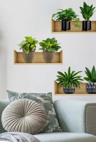 Raflı Bitki Tasarımlı Yapışkanlı Sticker 20*30 cm 3lü Set (4940)