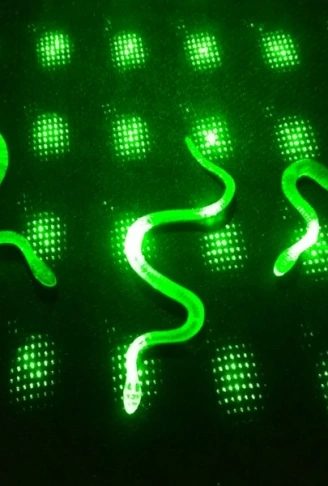 Şaka Yılan ve Kırkayak Karışık 36 Adet (4940)