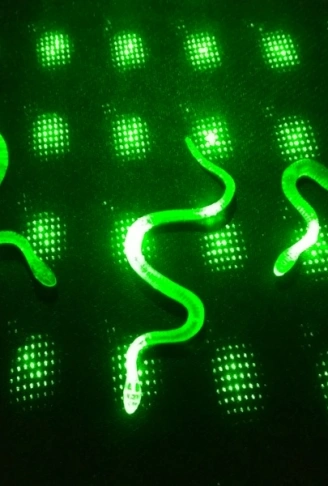 Şaka Yılan ve Kırkayak Karışık 36 Adet (4940)