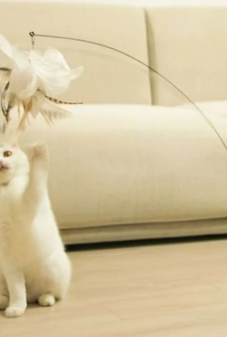 Vantuzlu Tüylü Zilli Kedi Oyun Oltası (4940)