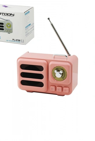 WİRELESS HOPARLÖR - SPEAKER - RADYO IŞIKLI USB ŞARJLI RENKLİ KASA - BRONZ ÇERÇEVE USB - DC 5V - TF (4940)